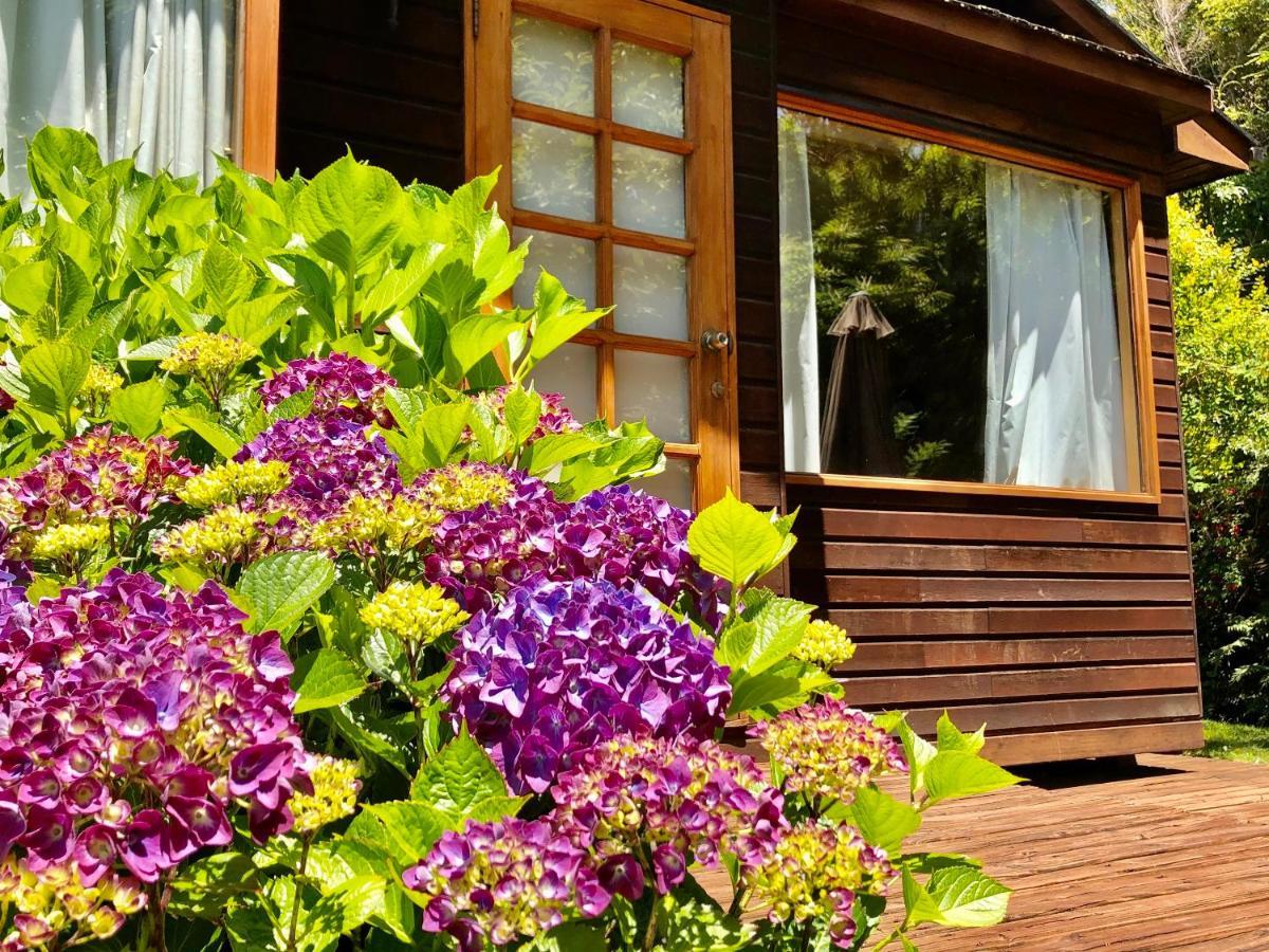 Cabanas Monte Verde Pucon Luaran gambar